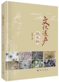 ʸ仺ʪ
