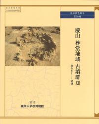 慶山林堂地域古墳群12 造永E2-1號墳