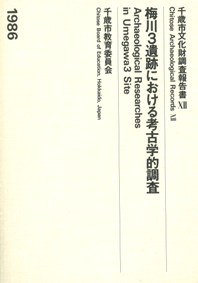 梅川3遺跡における考古学的調査