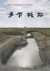 ¿סܾ븩¿Ĵǯ1980