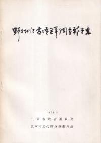 野々池沢古墳群調査報告書