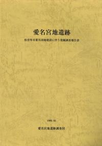 愛名宮地遺跡