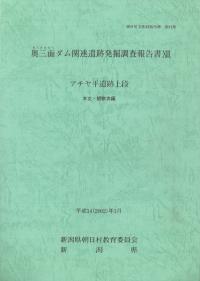 奥三面ダム関連遺跡発掘調査報告書13 アチヤ平遺跡上段