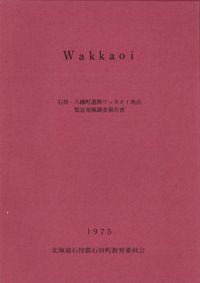 WakkaoiмȬȨĮץå۵ȯĴ