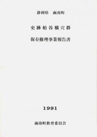古代日本神話と水上交流 / 堂野前彰子 著 | 歴史・考古学専門