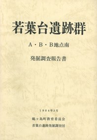 ׷ABBȯĴ