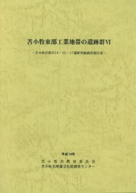 苫小牧東部工業地帯の遺跡群6