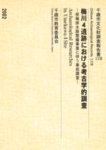 梅川4遺跡における考古学的調査