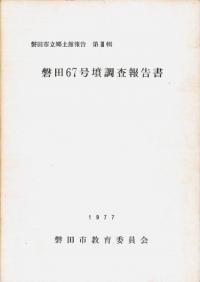 磐田67号墳調査報告書