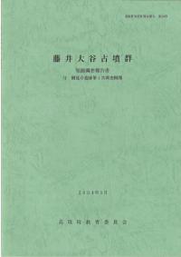 藤井大谷古墳群