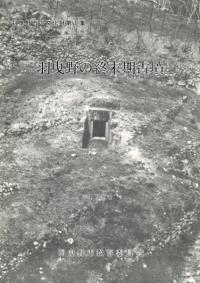 νʯ