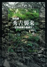 Ƚ衡볫