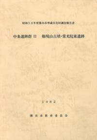 中条遺跡群 3 権現山古墳・常光院東遺跡