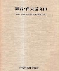 桦缼ݻʿ2ǯٹ׷ȯĴ