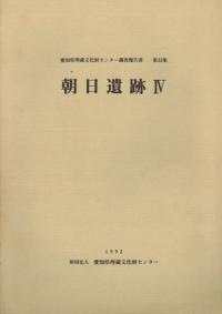 朝日遺跡4