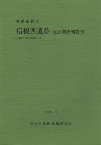 宿根西遺跡発掘調査報告書