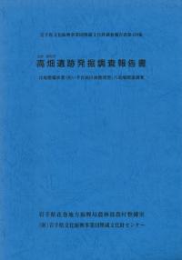 高畑遺跡発掘調査報告書