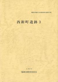 西新町遺跡3