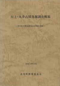 川上・丸井古墳発掘調査概報
