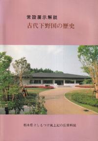 岼