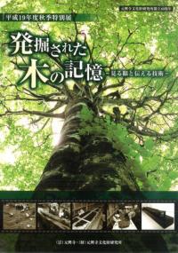発掘された木の記憶 見る眼と伝える技術