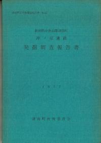 沖ノ原遺跡 発掘調査報告書