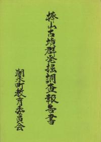 棒山古墳群発掘調査報告書