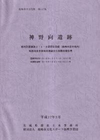 神野向遺跡