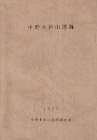 中野木新山遺跡