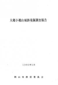 大廻小廻山城跡発掘調査報告