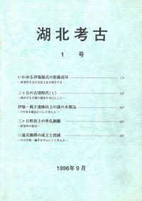 湖北考古 1号