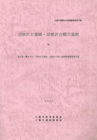 ס沣跲3