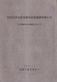 特別史跡五稜郭跡保存整備調査報告書 保存整備基本計画策定に向けて