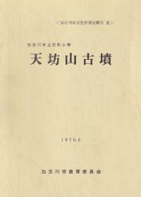 天坊山古墳