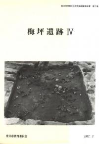 梅坪遺跡4