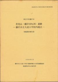若尾山(藤沢市No.36)遺跡 藤沢市立大道小学校内地点 発掘調査報告書