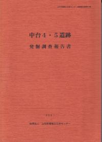 中台4・5遺跡
