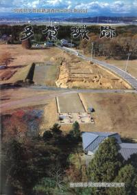 多賀城跡 宮城県多賀城跡調査研究所年報1994