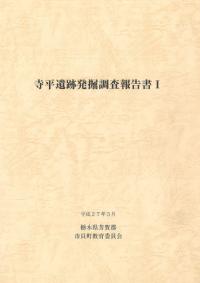 寺平遺跡発掘調査報告書1