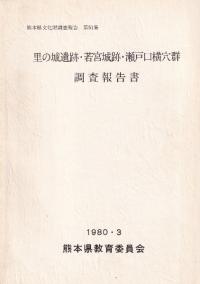 里の城遺跡・若宮城跡・瀬戸口横穴群調査報告書