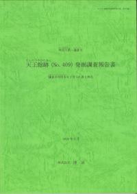 天王館跡(No.409)発掘調査報告書