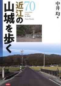 Ṿλ⤯