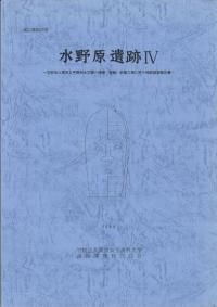 水野原遺跡4