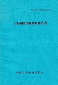 上条遺跡発掘調査報告書