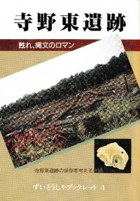 ס ᴤ졢ʸΥޥ