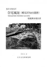 寺尾城址 (鶴見区No. 64遺跡) 発掘調査報告書