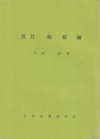 Ṿ𸶾