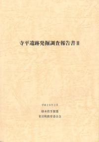 寺平遺跡発掘調査報告書2