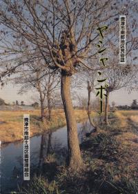 ヤシャンボー 焼津市南部地区民俗誌