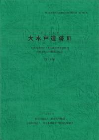 大木戸遺跡3 : さいたま市
